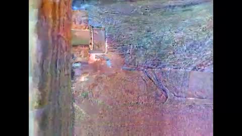 Snapshot of sam5554401727 chatting on April 2026 08:28:02 PM sam5554401727 online show from April 2026 08:28:02 PM