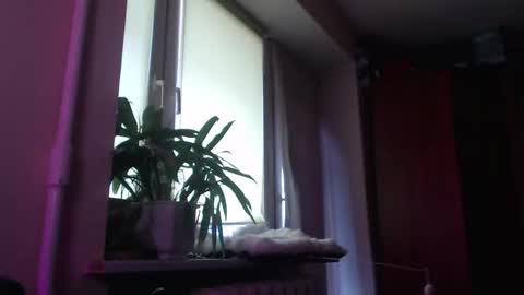 Snapshot of sam_skywalker chatting on March 2026 12:05:03 PM sam_skywalker online show from March 2026 12:05:03 PM