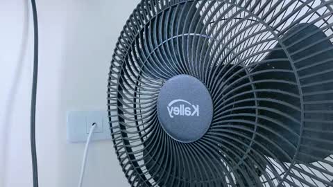   online show from November 2025 11:21:02 AM