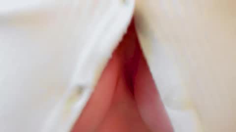 Andy online show from October 2025 12:30:02 PM