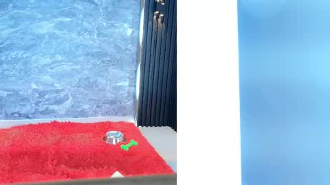 Snapshot of samantha_venus1 chatting on February 2025 02:02:01 PM Samantha online show from February 2025 02:02:01 PM