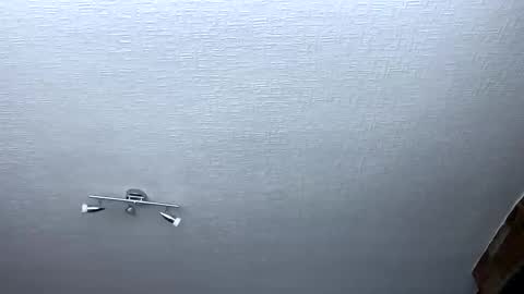 samegee online show from October 2025 07:28:01 AM