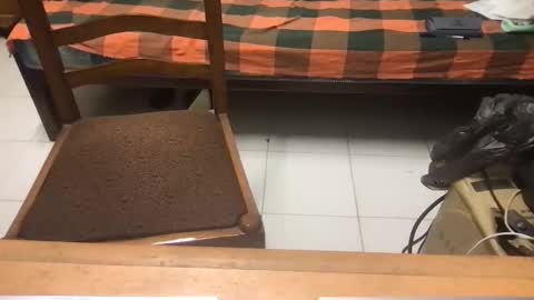 Snapshot of samhotbbc7 chatting on October 2025 12:33:01 AM samhotbbc7 online show from October 2025 12:33:01 AM