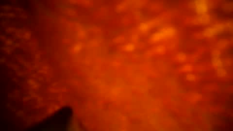 Snapshot of samueltal chatting on September 2025 09:48:02 PM samueltal online show from September 2025 09:48:02 PM