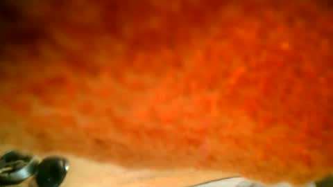 Snapshot of samueltal chatting on October 2025 07:37:01 PM samueltal online show from October 2025 07:37:01 PM