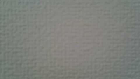 ssk online show from April 2026 03:04:02 AM