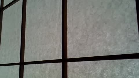 ssk online show from April 2026 04:50:02 AM