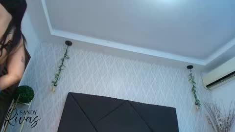 SAM  online show from January 2026 11:56:01 AM