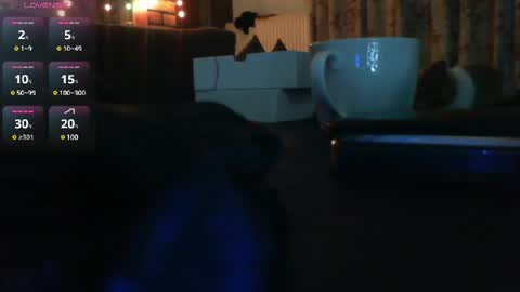 sanroom online show from December 2024 07:08:01 AM