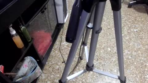 sara_salgado online show from February 2026 11:04:01 AM