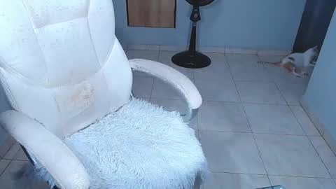 Sara online show from February 2026 07:10:02 PM