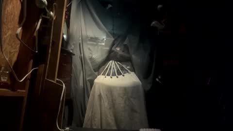 Snapshot of saracan7 chatting on September 2025 06:04:02 AM Sarrah Sweet online show from September 2025 06:04:02 AM