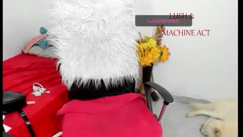 Snapshot of sarah_sweett chatting on May 2026 05:42:01 PM Sarah online show from May 2026 05:42:01 PM