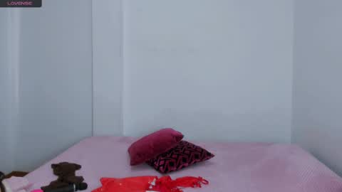 Snapshot of sarasweet_4 chatting on March 2025 05:29:02 PM Sara   online show from March 2025 05:29:02 PM