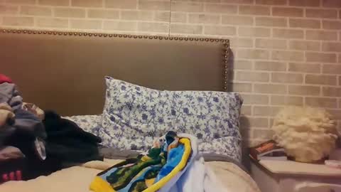 Snapshot of saretta46 chatting on December 2024 12:07:02 AM Sara online show from December 2024 12:07:02 AM