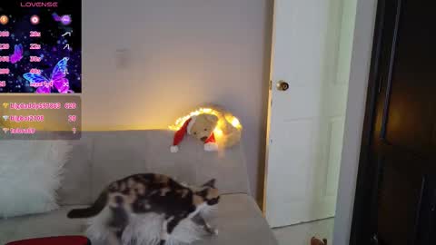 Snapshot of saritha__duke chatting on March 2026 02:09:02 PM Saritha online show from March 2026 02:09:02 PM