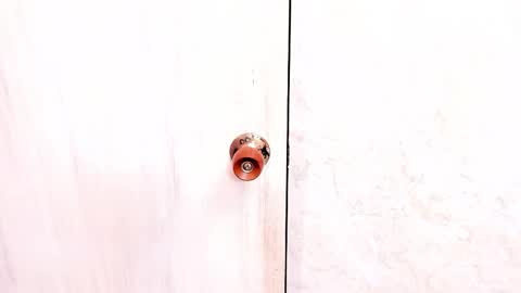 Sasha  online show from November 2025 08:11:02 PM