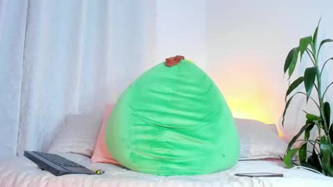     online show from November 2025 08:04:01 AM