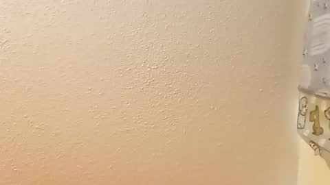 SnowBunny online show from December 2024 03:44:01 PM