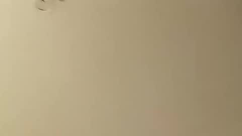 SnowBunny online show from January 2025 05:13:01 AM