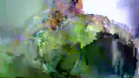 savagetonguee online show from March 2026 03:28:02 AM