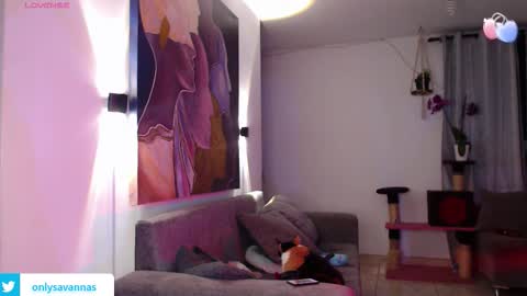 Savannaredhair 33 Angelebony33 online show from September 2025 11:27:02 PM