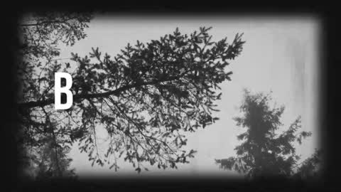 Snapshot of say_mary chatting on March 2026 11:31:02 PM pronoun she. name Mary. age 21. online show from March 2026 11:31:02 PM