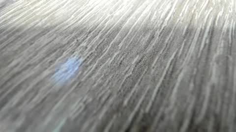 Snapshot of sayo_mao18 chatting on March 2026 01:54:01 AM sayo_mao18 online show from March 2026 01:54:01 AM