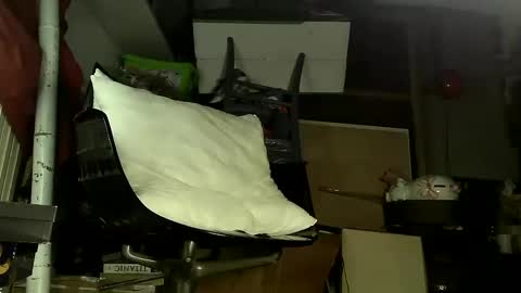 Snapshot of sbamx chatting on December 2024 05:29:02 AM Sbamx online show from December 2024 05:29:02 AM