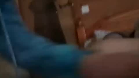 Snapshot of scamp12 chatting on October 2025 11:11:02 AM scamp12 online show from October 2025 11:11:02 AM