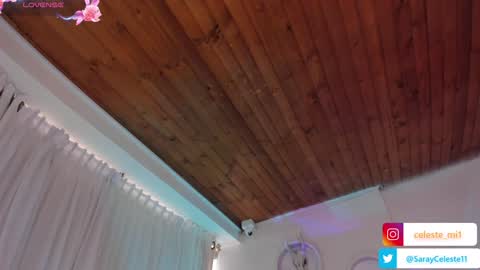 Snapshot of scarlet_miller_1 chatting on January 2025 06:04:01 PM Celeste online show from January 2025 06:04:01 PM