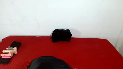 Scarletfox Fox online show from February 2026 05:12:01 AM