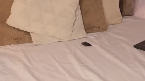 Snapshot of scarleth_lux_ chatting on October 2025 06:14:02 AM Scarleth online show from October 2025 06:14:02 AM