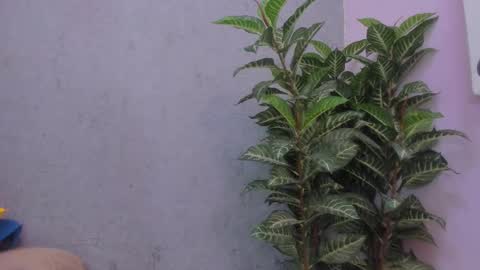 Snapshot of scarlett646 chatting on November 2025 03:09:02 AM Scarlett 3 online show from November 2025 03:09:02 AM