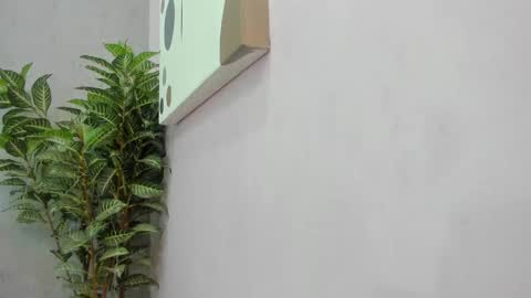 Snapshot of scarlett646 chatting on December 2025 03:12:02 AM Scarlett 3 online show from December 2025 03:12:02 AM