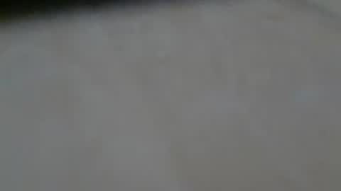 Snapshot of schwaermer1 chatting on June 2026 09:25:02 AM schwaermer1 online show from June 2026 09:25:02 AM