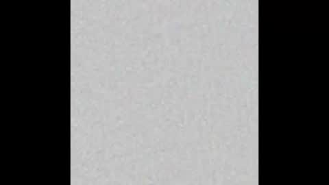 Snapshot of scolw chatting on December 2025 11:47:01 AM Scolw online show from December 2025 11:47:01 AM