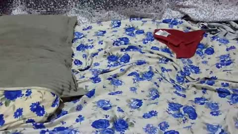 Its Lilly online show from January 2025 03:09:01 AM