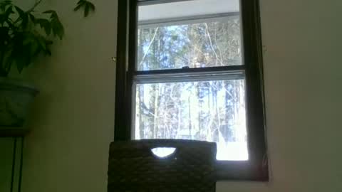 Snapshot of scottpbi52 chatting on January 2025 02:14:01 PM scottpbi52 online show from January 2025 02:14:01 PM