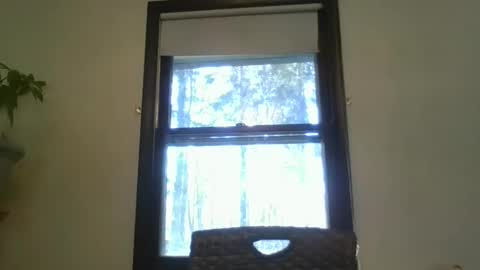 Snapshot of scottpbi52 chatting on February 2025 07:27:02 PM scottpbi52 online show from February 2025 07:27:02 PM