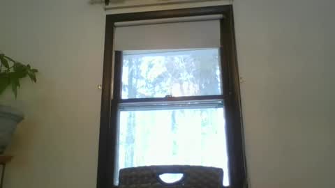 Snapshot of scottpbi52 chatting on February 2025 01:30:01 PM scottpbi52 online show from February 2025 01:30:01 PM