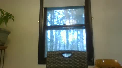 Snapshot of scottpbi52 chatting on March 2025 01:17:02 PM scottpbi52 online show from March 2025 01:17:02 PM