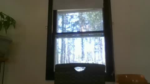 Snapshot of scottpbi52 chatting on March 2025 07:07:02 PM scottpbi52 online show from March 2025 07:07:02 PM