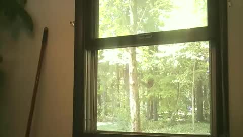 Snapshot of scottpbi52 chatting on September 2025 04:29:02 PM scottpbi52 online show from September 2025 04:29:02 PM