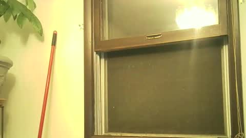 Snapshot of scottpbi52 chatting on September 2025 12:56:02 AM scottpbi52 online show from September 2025 12:56:02 AM