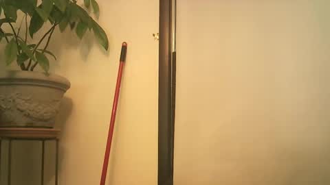 Snapshot of scottpbi52 chatting on September 2025 08:34:02 PM scottpbi52 online show from September 2025 08:34:02 PM