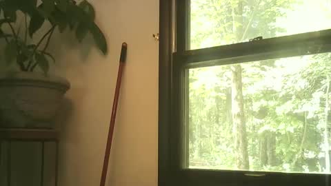 Snapshot of scottpbi52 chatting on September 2025 03:39:02 PM scottpbi52 online show from September 2025 03:39:02 PM