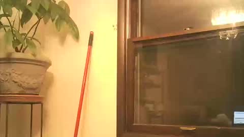 Snapshot of scottpbi52 chatting on September 2025 03:45:02 AM scottpbi52 online show from September 2025 03:45:02 AM