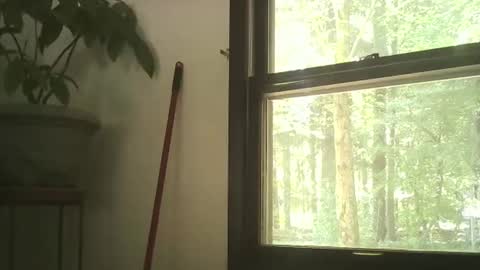 Snapshot of scottpbi52 chatting on September 2025 05:29:02 PM scottpbi52 online show from September 2025 05:29:02 PM