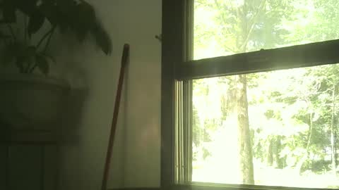 Snapshot of scottpbi52 chatting on September 2025 02:44:02 PM scottpbi52 online show from September 2025 02:44:02 PM